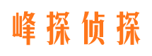 策勒市调查公司